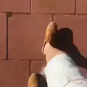 Tattooed brunette sucks you passionately