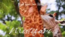 Want to come on safari with me?