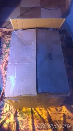 🎁 Are you ready to unwrap your present, Daddy? 🎁 [f]