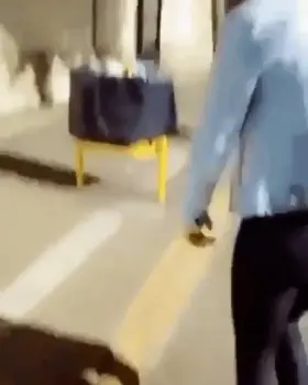 HMFT after I sit on this trash bin