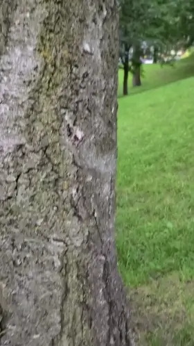 Met a cute guy at the park today