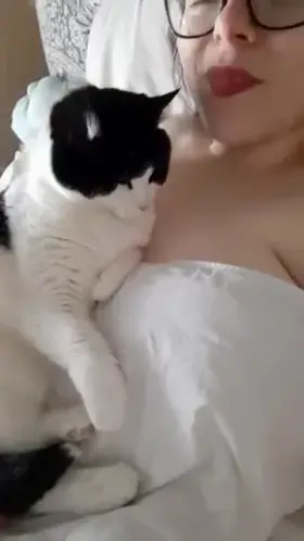 Kitty Titty Drop 😍