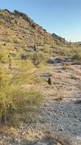 26[F] The desert made me a little thirsty 😝