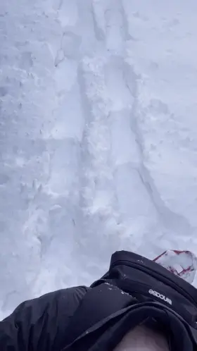 Come watch and whip yours out too 😈✌️