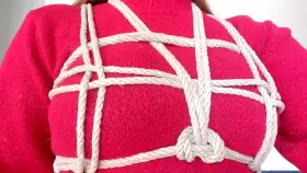 Imagine the topless version [f]