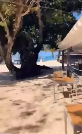 Just a Casual Day at The Beach