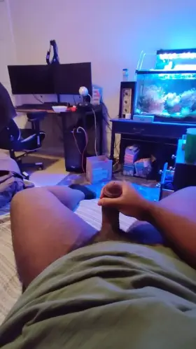 Anyone want a 23 yo Daddy?