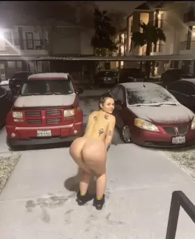 Texan PAWG in Light Snow