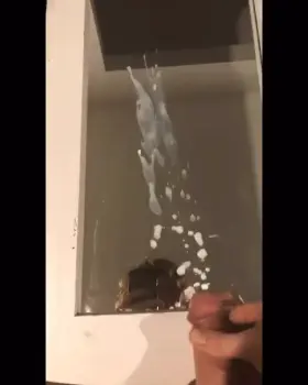 I’m looking to breed as many girls as possible this week