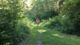 My wife recreating a little.