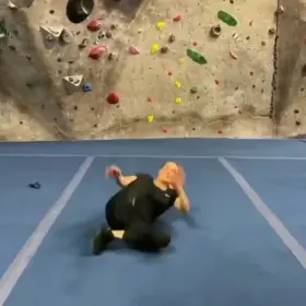 CJ Perry in tight clothes