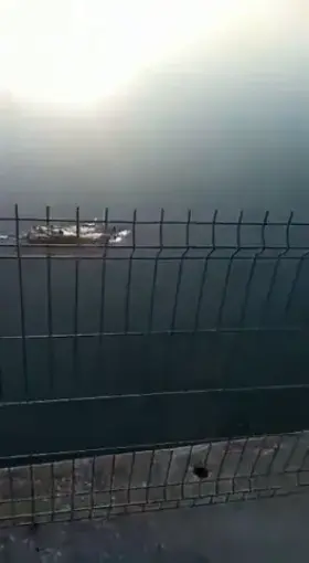 Man killed by crocodile in Tamaulipas while swimming in lagoon