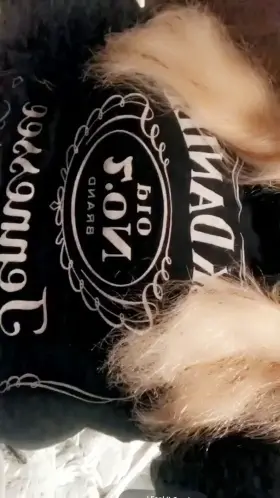 A nice titty drop for your Tuesday 💋