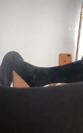 Help me with my essay?