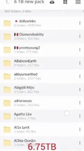 Check Comment For Nearly 7TB Collection of Baddies👇👇