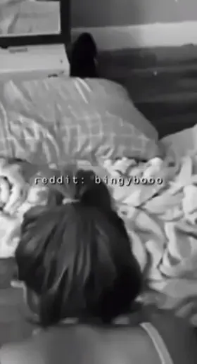 go daddy go! (m)(f) -(tap redgif above for audio) ✌️❤️