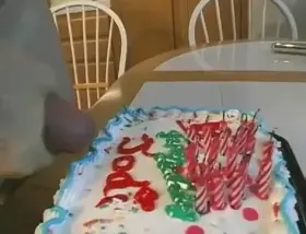 Sister celebrating her birthday with my bully