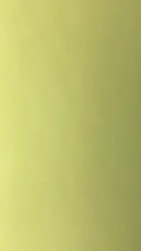 Fucking cucks girl on his bed she asked for no condom