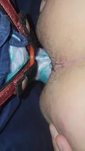 Session with medium bad dragon Apollo and gape