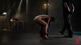 Whipped and Punished with the Fuckstick