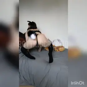 puppy needs all this energy taming 🥺 [NB]