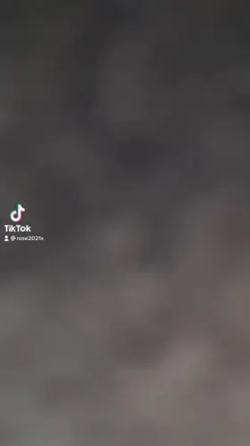 Are these big enough? 😏 (19)