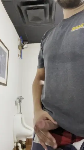 Public bathroom jerk