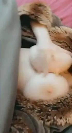 Will you keep my big natural titties warm and cozy this holiday season?