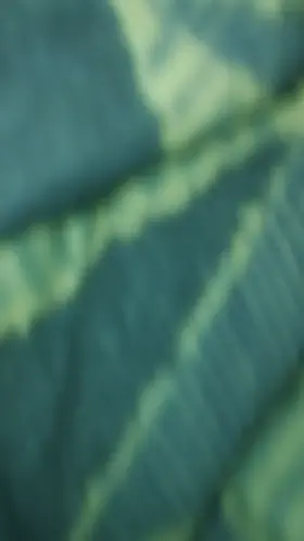 Young Girl from the Street