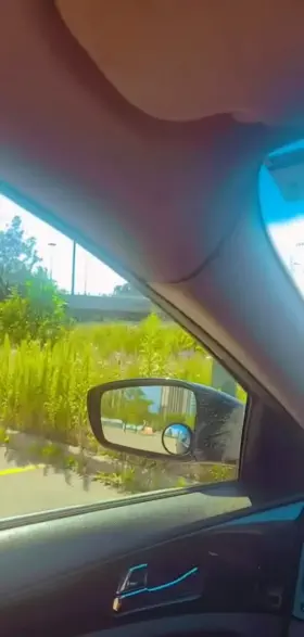 If you saw me, would you stick your BWC in me?