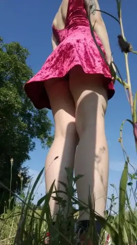 Hitchhiking in this summer heat🌸 [f]