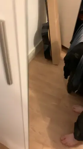 Not the biggest load but still fun to watch