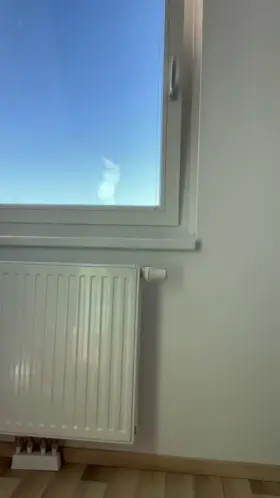 Wanna go to Oktoberfest with me?