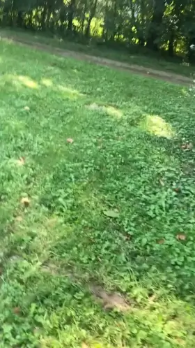 I stopped the hike so I could suck his dick [F][M]