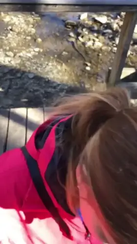 Enjoying the views [0.19] [gif]