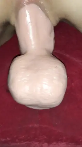 A little bit of “me” time, stretched out over my favorite toy (f39)