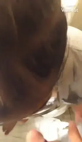 Total 2 Video's🥰Cute Chashmish Girl is very Passionate in giving Blowjob😘