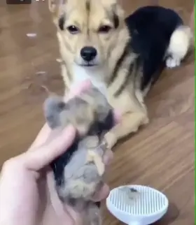 Disturbing...yet satisfying