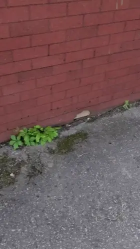 Curiousity killed the cat as they say, I hope you destroy my kitty :P