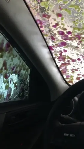 It’s hard to find privacy sometimes...