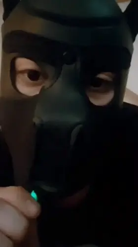 hhhh stupid mut(t) no good for anything but keeping cunts wet and serving pretty princesses 🐺💨✨💕