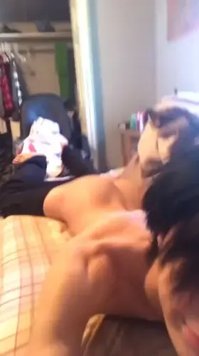 19 I Fell And Broke A Plate ... Was It Worth It ?