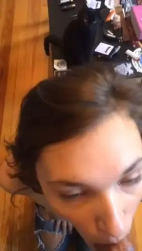 40 [M4MW] #SanAntonio TX - BBC seeking couple that want to add a BBC.