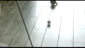 Step Bro Gets A Hole In One – Chloe Temple