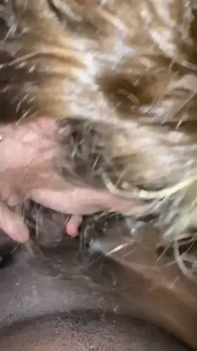 My mouth literally starts gushing spit when I get around black dicc 🤤💦🥰