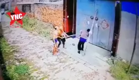 Why r chinese men always so fucked