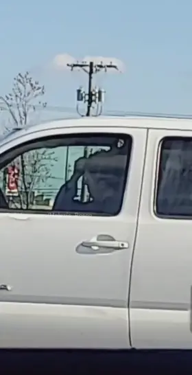 Too bad he didn't look over 😕