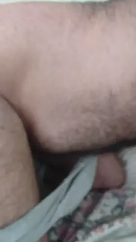 A cub searching for a daddy