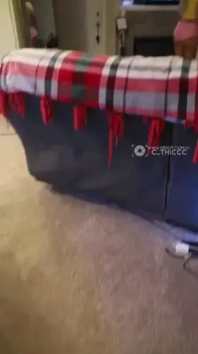 My brother will be the best fuck in school after always practicing on me 👀[OC]