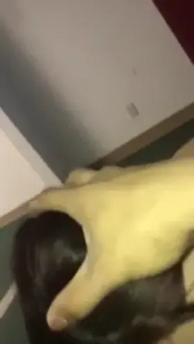 Tiny Teen Slut Giggles After Facial From BBC 🤤